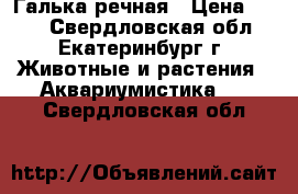 Галька речная › Цена ­ 800 - Свердловская обл., Екатеринбург г. Животные и растения » Аквариумистика   . Свердловская обл.